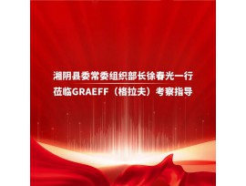 湘阴县委常委组织部长徐春光一行莅临GRAEFF（格拉夫）考察指导